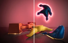 Load image into Gallery viewer, R & Company: 20 Years of Discovery