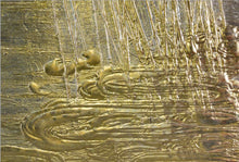 Load image into Gallery viewer, Nancy Lorenz: Moon Gold