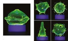 Load image into Gallery viewer, Jeff Zimmerman