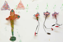 Load image into Gallery viewer, The Haas Brothers: Volume 2, Afreaks