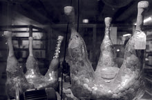 Load image into Gallery viewer, The Haas Brothers: Volume 1