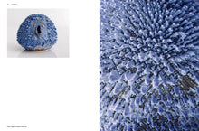 Load image into Gallery viewer, The Haas Brothers: Volume 1