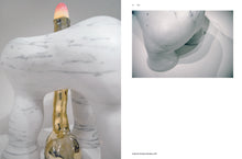 Load image into Gallery viewer, The Haas Brothers: Volume 1