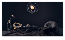 Load image into Gallery viewer, Rogan Gregory: Event Horizon